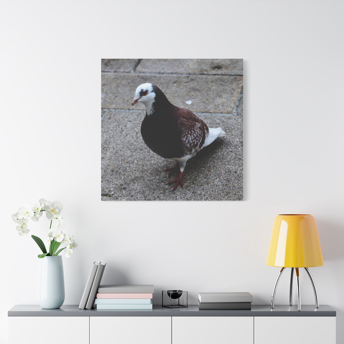 White, Pigeon Canvas