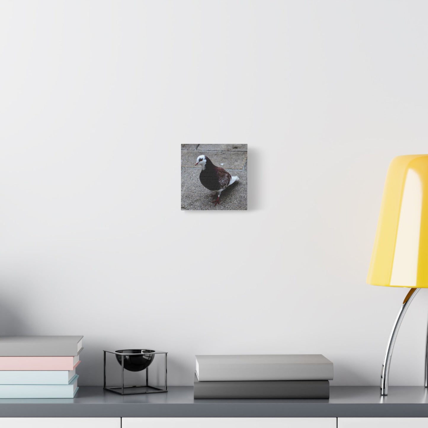 White, Pigeon Canvas