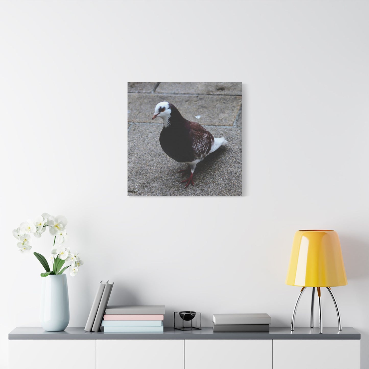 White, Pigeon Canvas