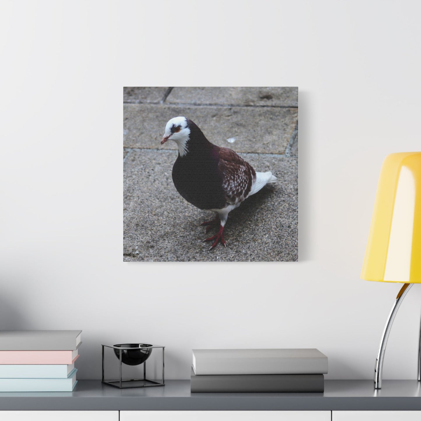 White, Pigeon Canvas