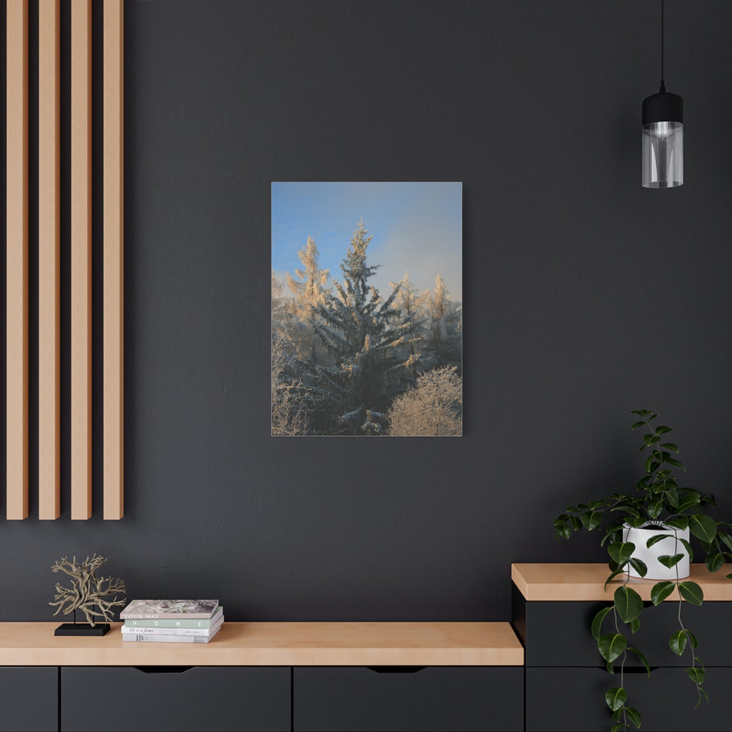 Fichtelberg Forest Landscape, Germany Canvas
