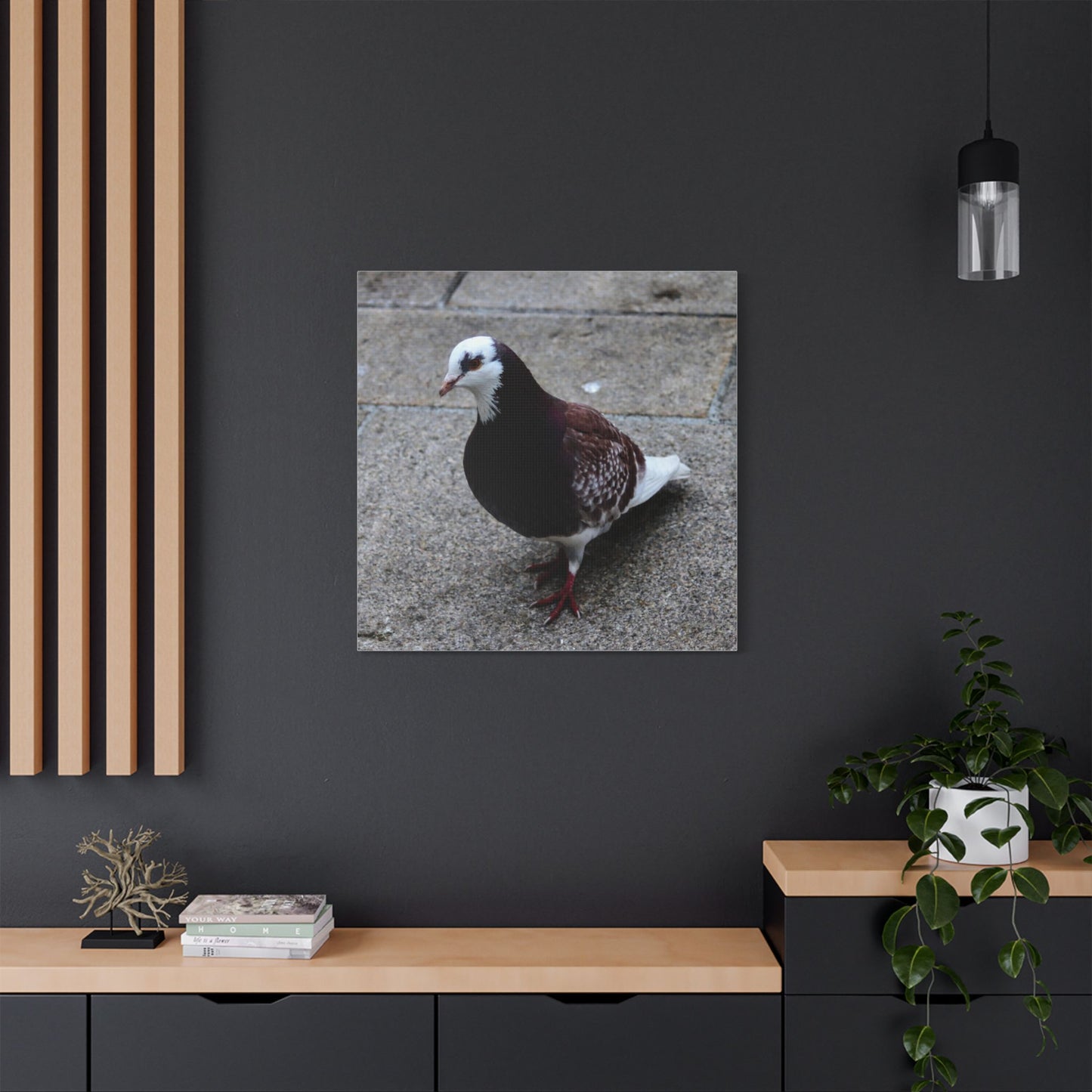 White, Pigeon Canvas
