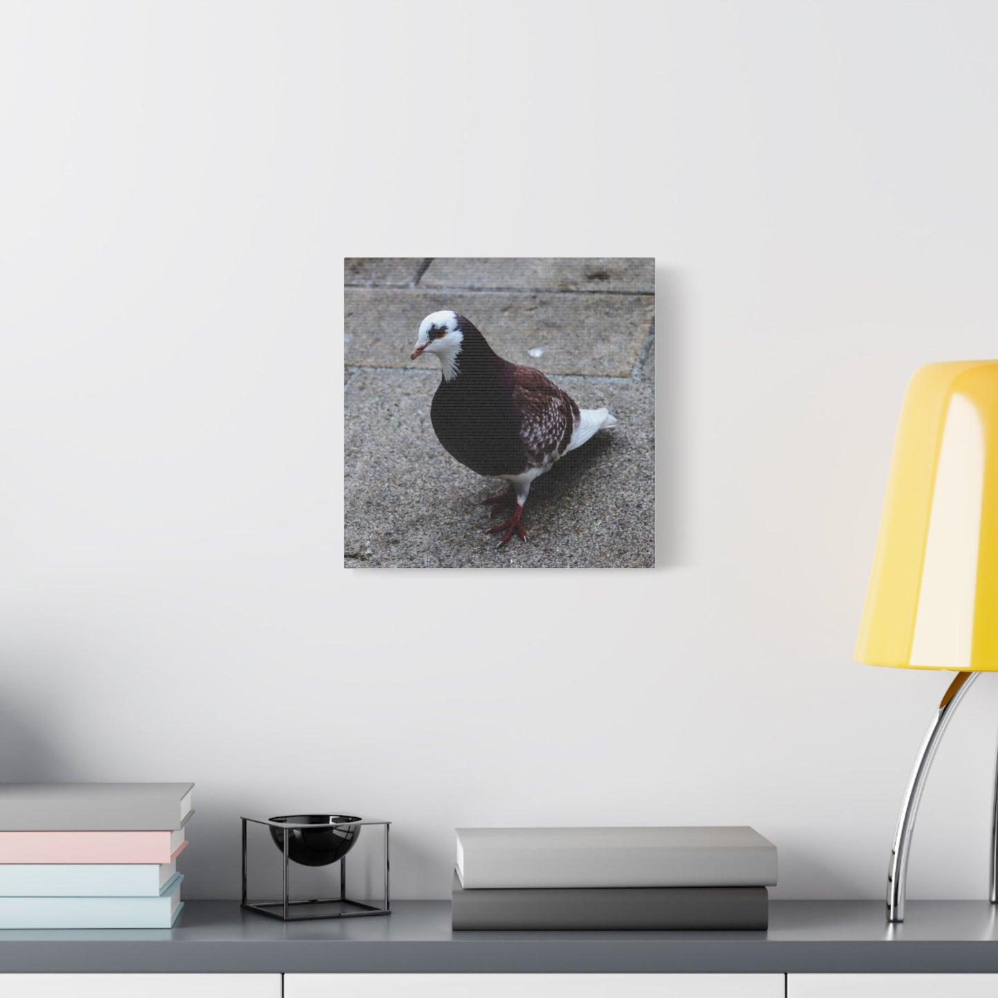 White, Pigeon Canvas