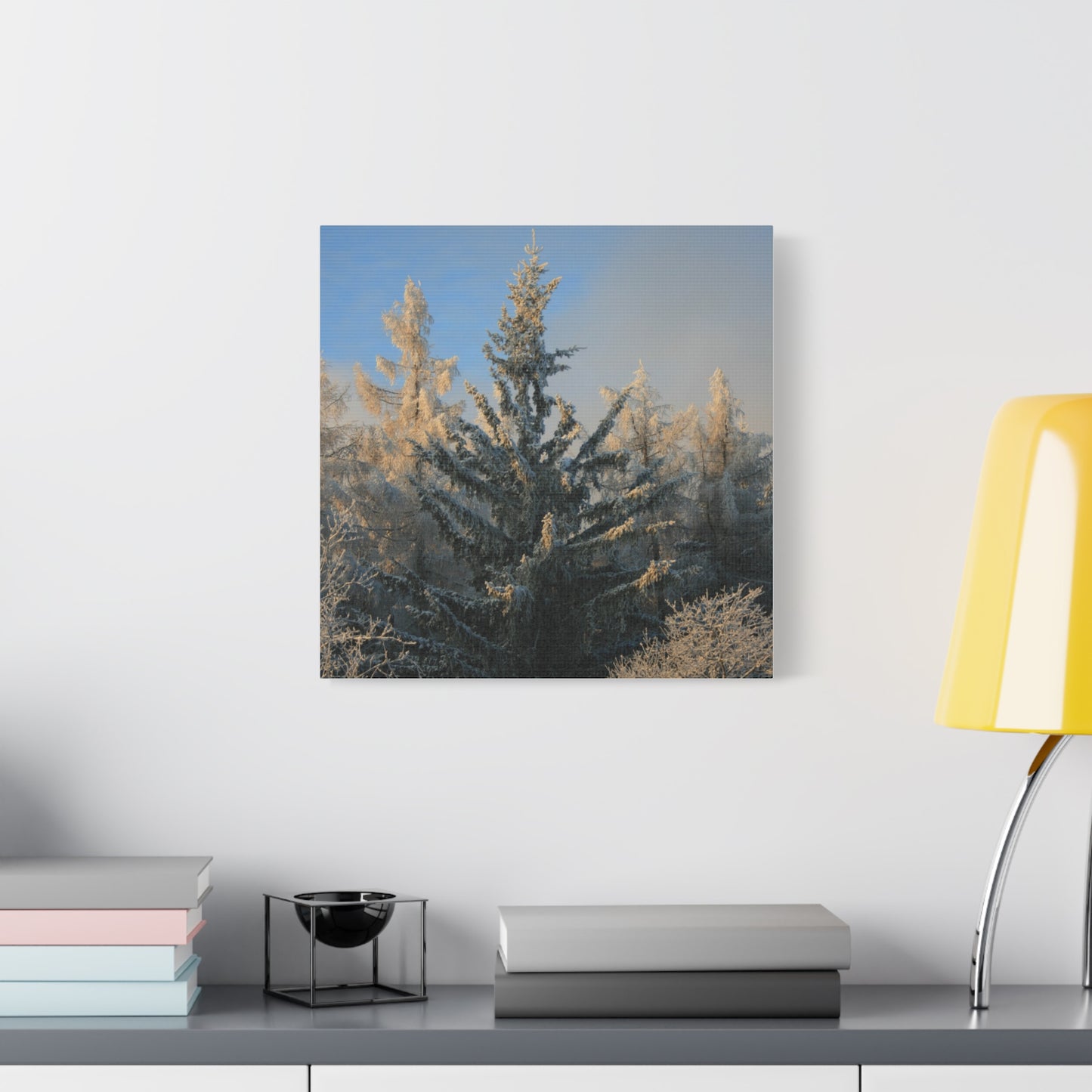 Fichtelberg Forest Landscape, Germany Canvas