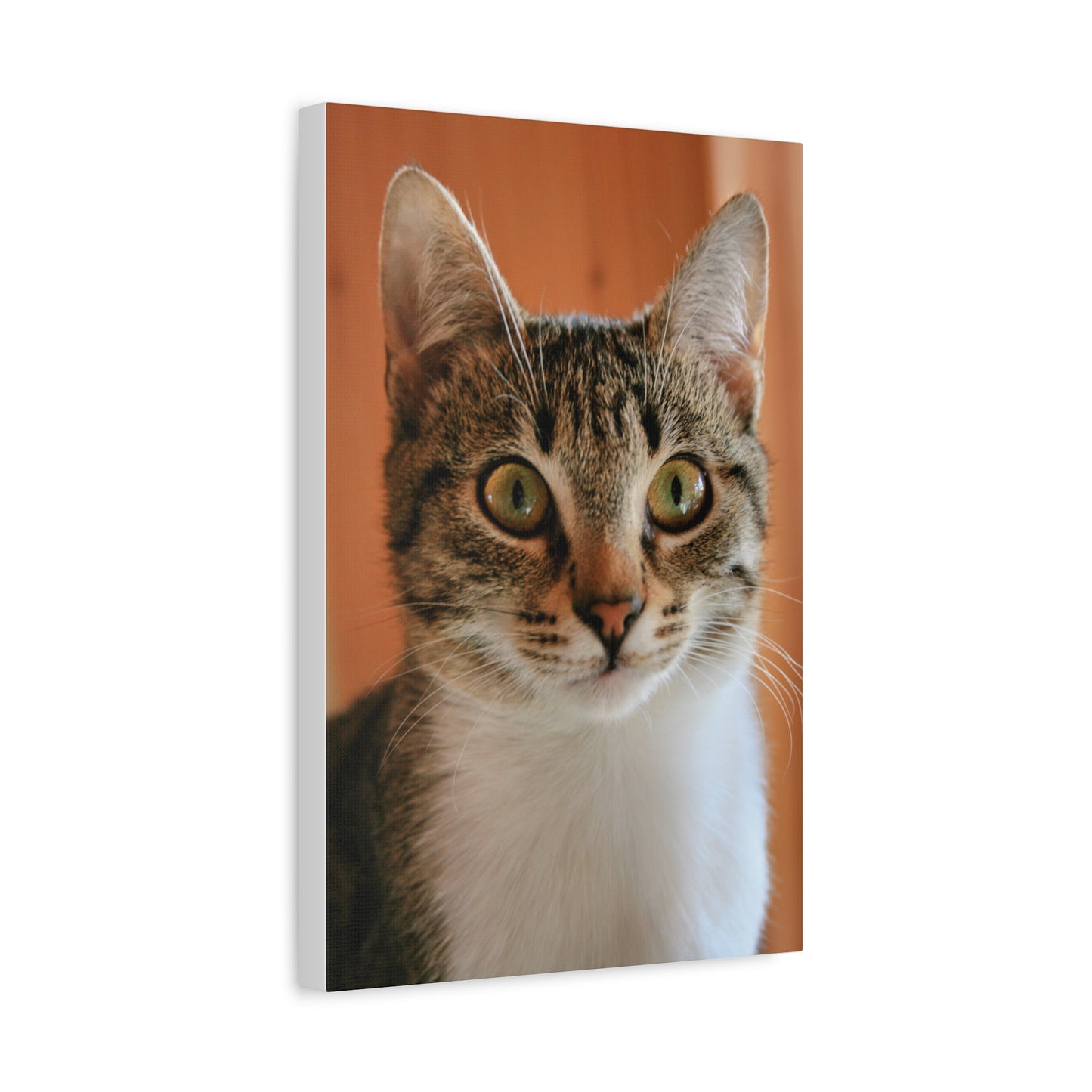 Cat portrait Canvas