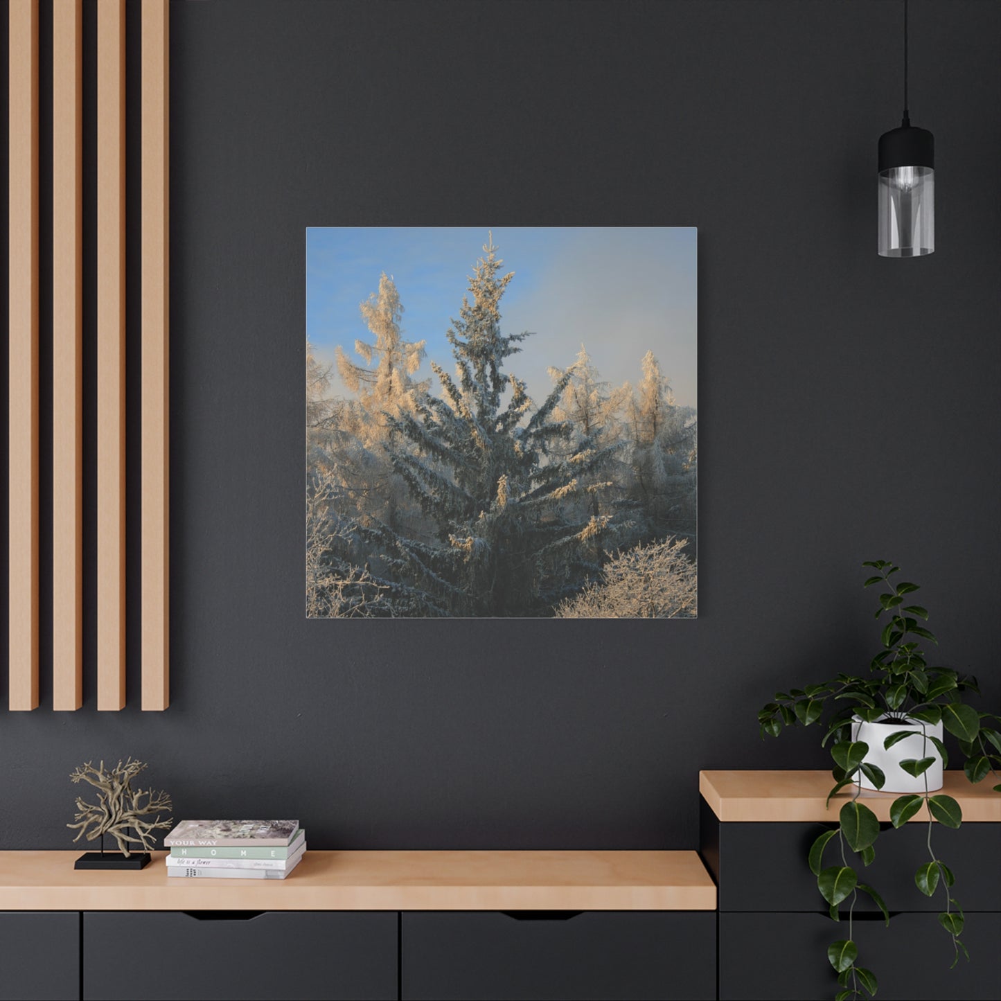 Fichtelberg Forest Landscape, Germany Canvas