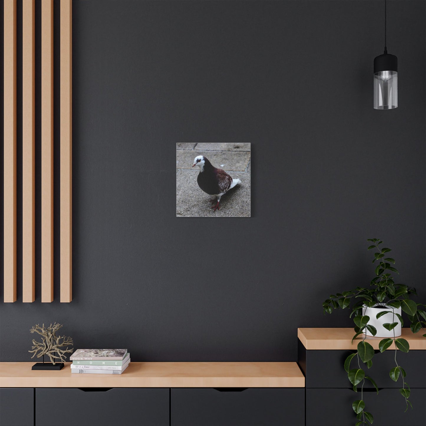 White, Pigeon Canvas