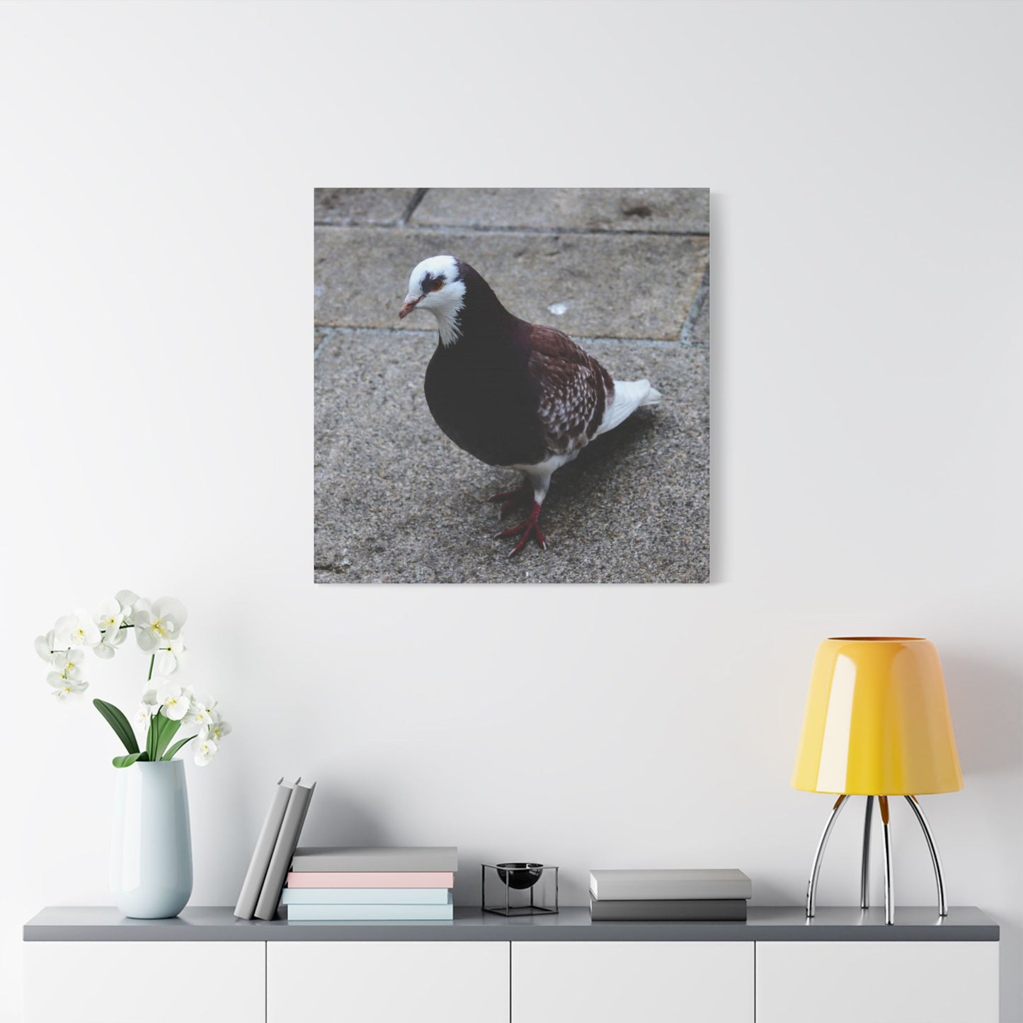 White, Pigeon Canvas
