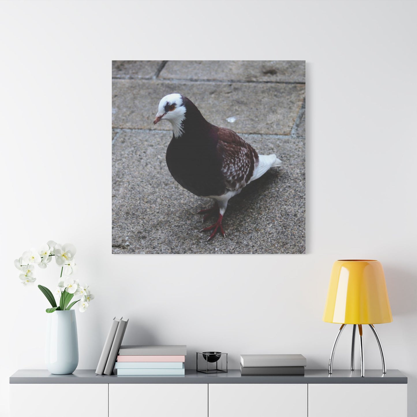 White, Pigeon Canvas