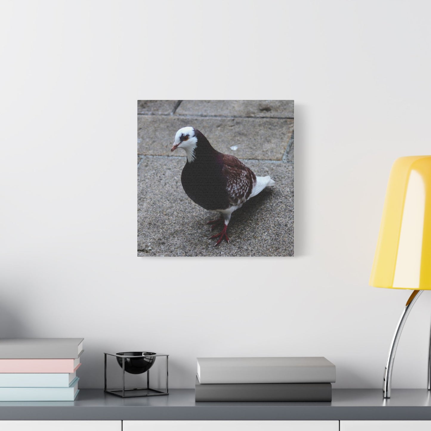 White, Pigeon Canvas
