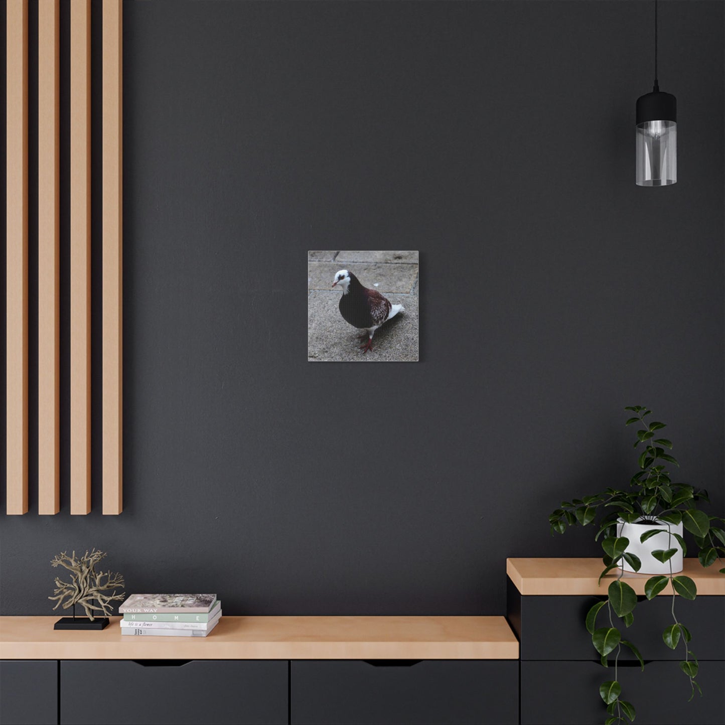White, Pigeon Canvas