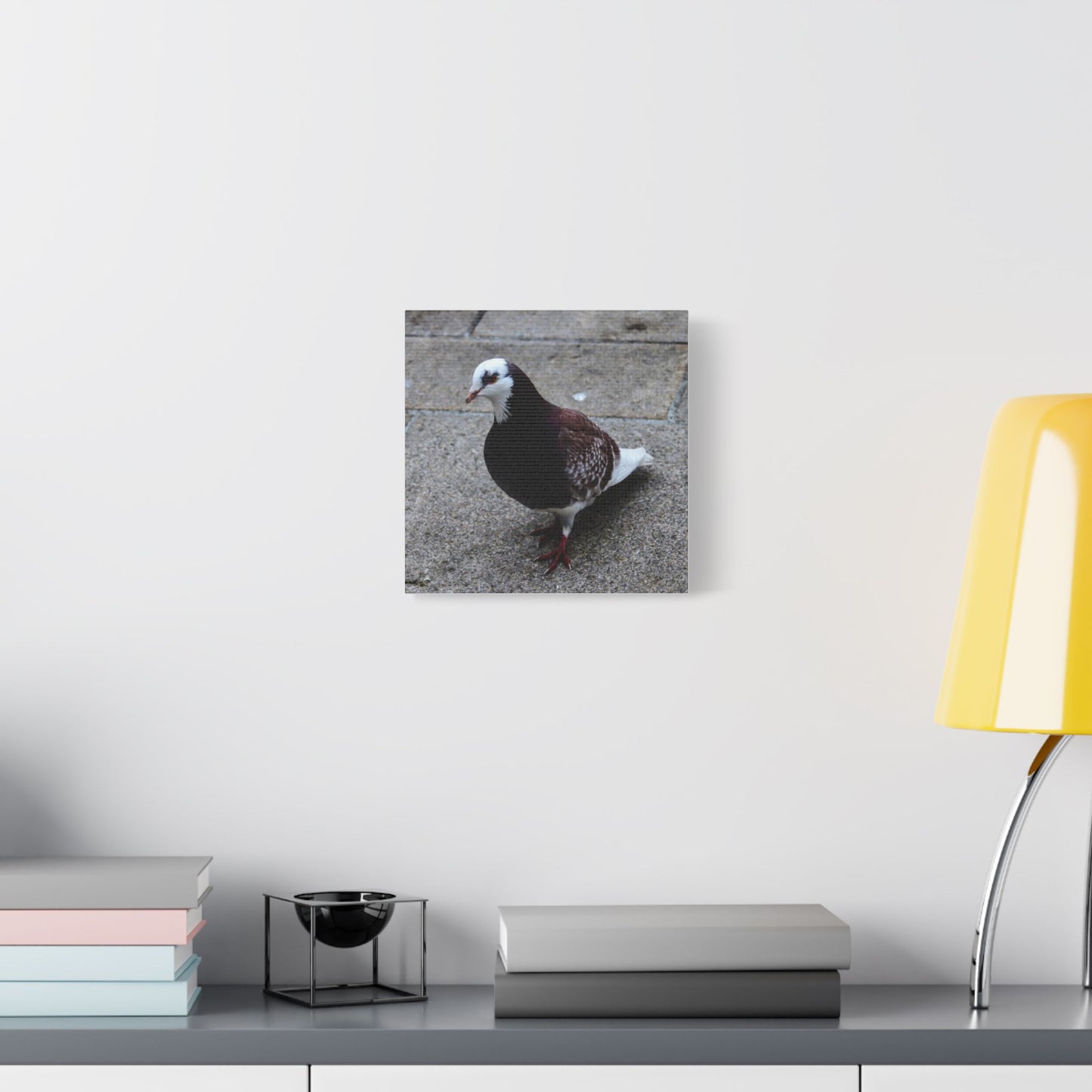 White, Pigeon Canvas