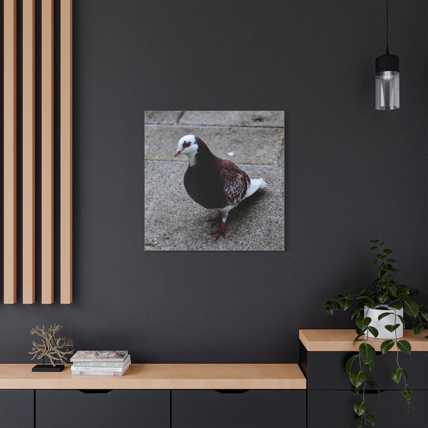 White, Pigeon Canvas