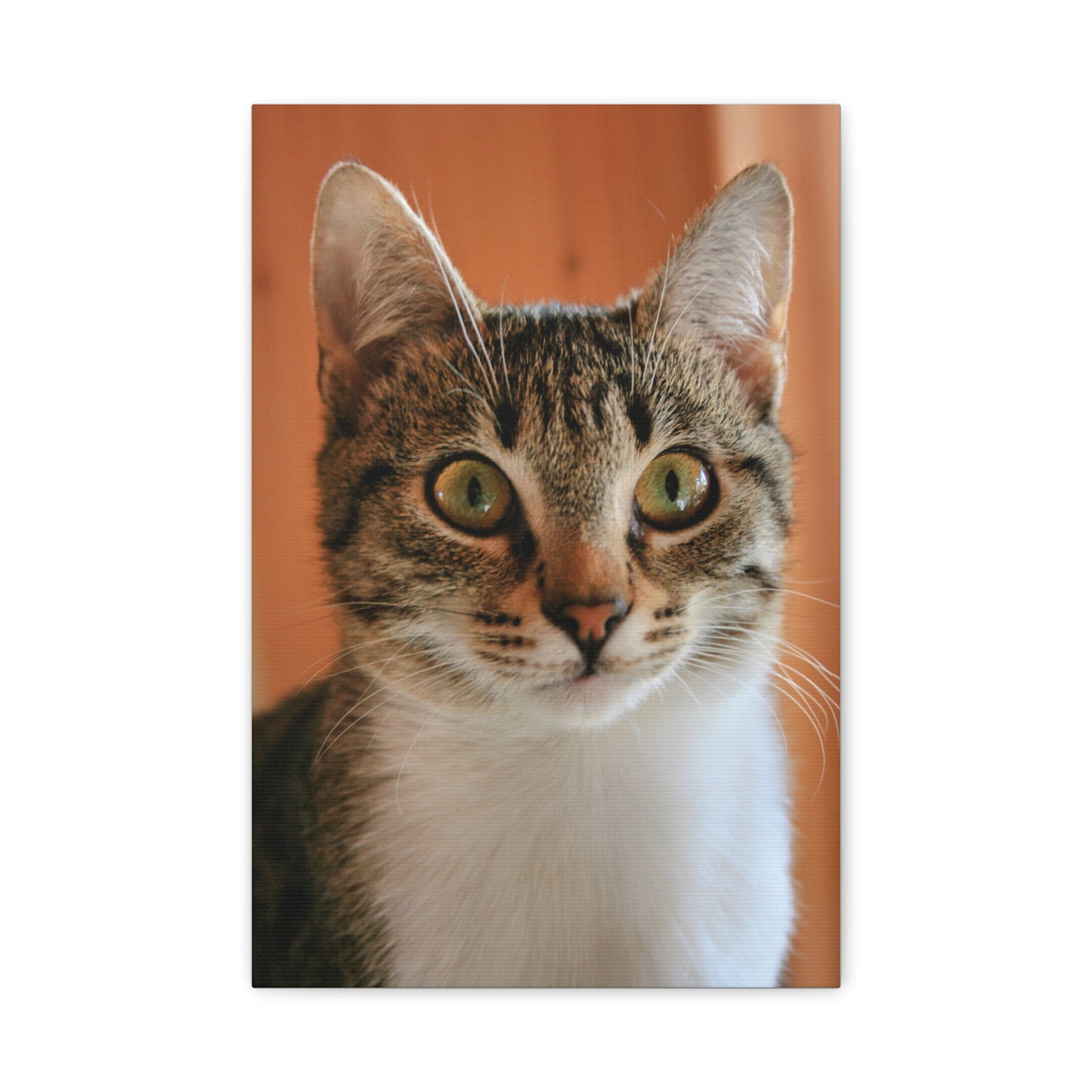 Cat portrait Canvas