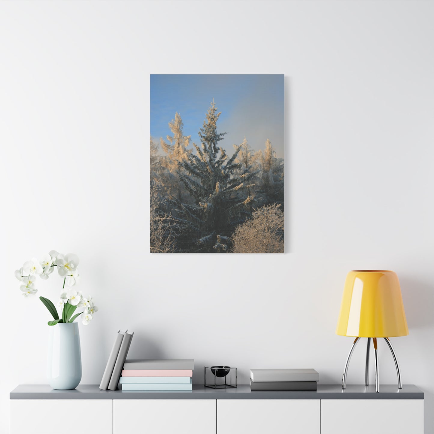 Fichtelberg Forest Landscape, Germany Canvas
