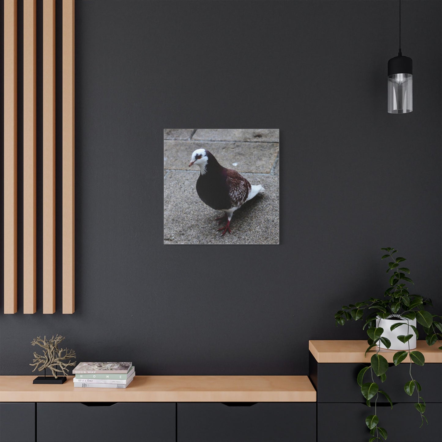 White, Pigeon Canvas