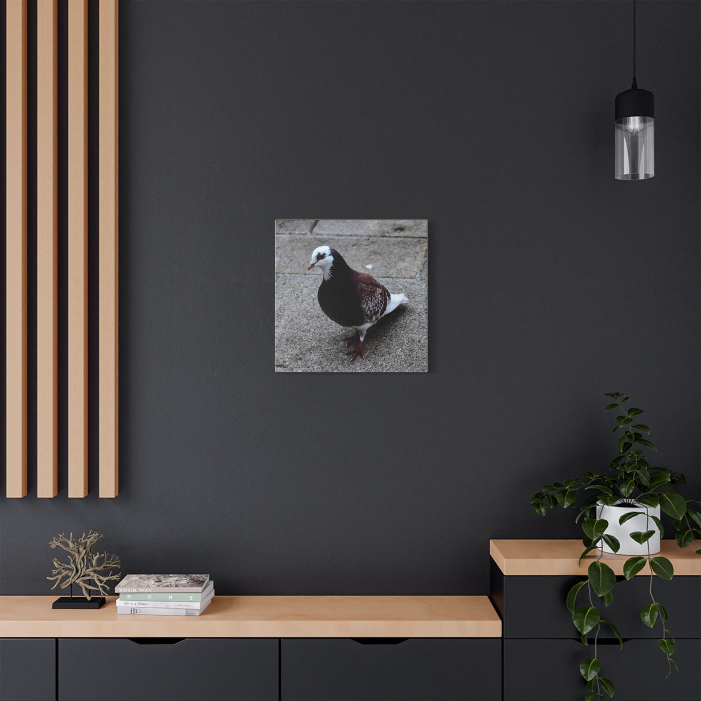 White, Pigeon Canvas