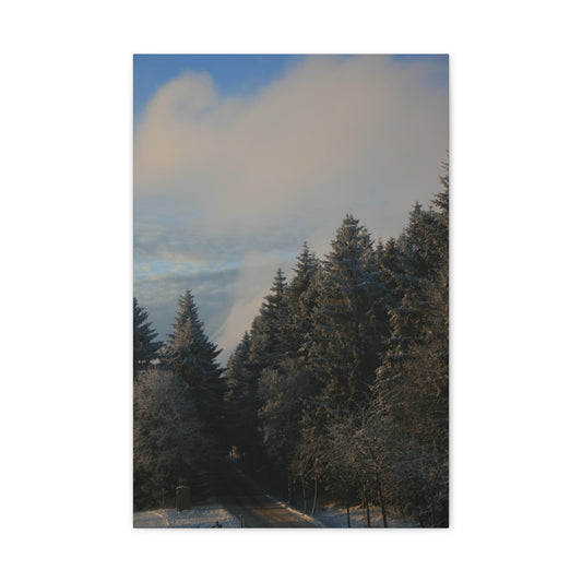 Landscape Forest - Canvas